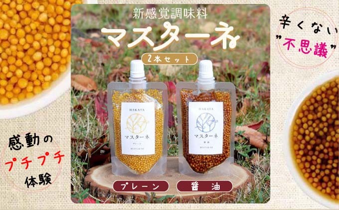 調味料 マスターネ プレーン しょう油 2本セット 100g×各1 マスタード 食べ比べマスタードシード 味付け 辛くない 料理 アクセント和食 洋食 中華 万能調味料 