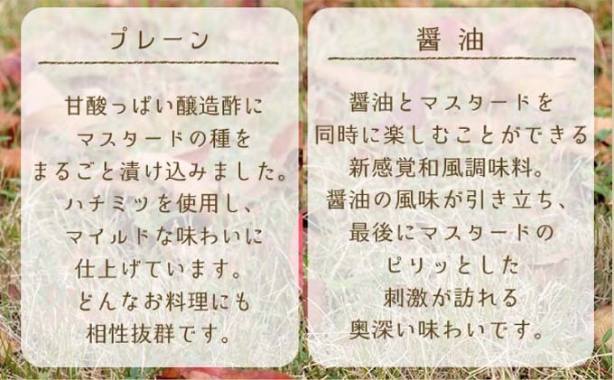 調味料 マスターネ プレーン しょう油 2本セット 100g×各1 マスタード 食べ比べマスタードシード 味付け 辛くない 料理 アクセント和食 洋食 中華 万能調味料 