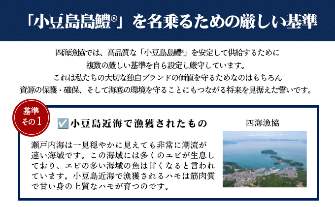 香川県土庄町のふるさと納税 【 小豆島 】『小豆島島鱧』活け締め骨切り瞬間冷凍  新鮮 海の幸 ハモ