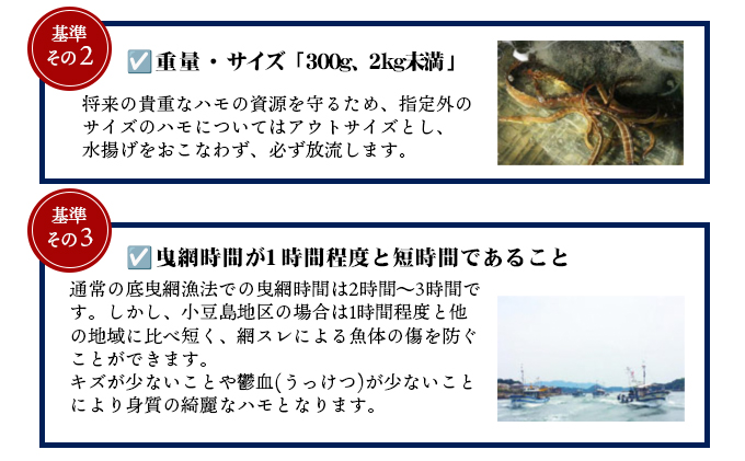 香川県土庄町のふるさと納税 【 小豆島 】『小豆島島鱧』活け締め骨切り瞬間冷凍  新鮮 海の幸 ハモ