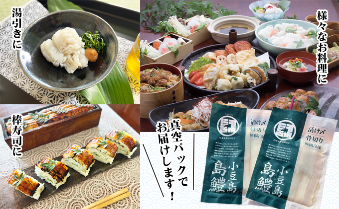 香川県土庄町のふるさと納税 【 小豆島 】『小豆島島鱧』活け締め骨切り瞬間冷凍  新鮮 海の幸 ハモ