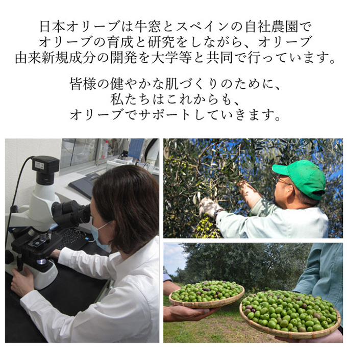 オリーブオイル オリーブマノン化粧用オリーブオイル 200ml オリーブ オイル 美容 スキンケア 化粧用 油 オリーブ油 