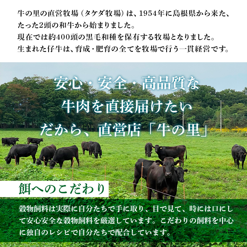 北海道白老町のふるさと納税 牛の里ビーフハンバーグ（110g×10個） 特製ソース（10袋） の詰合せ