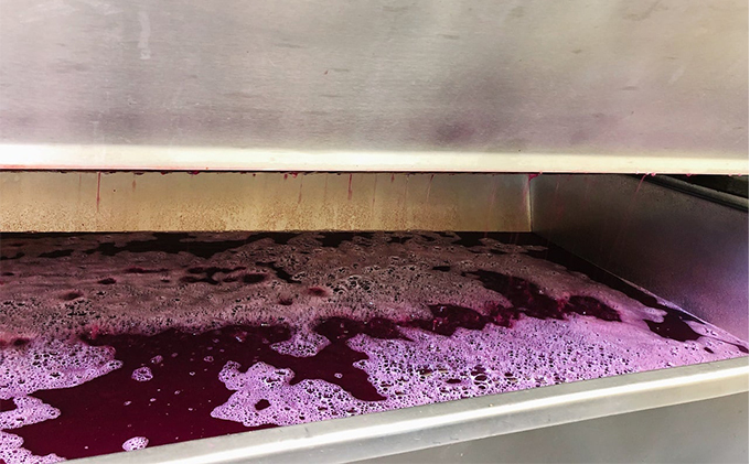 是里 ワイン TSUCHINARO 2本 セット 岡山 赤磐市 赤ワイン お酒 ロゼワイン ワインセット 飲み比べ 芳醇な香り フルーティー 渋みが少ない 後口すっきり 贈り物 