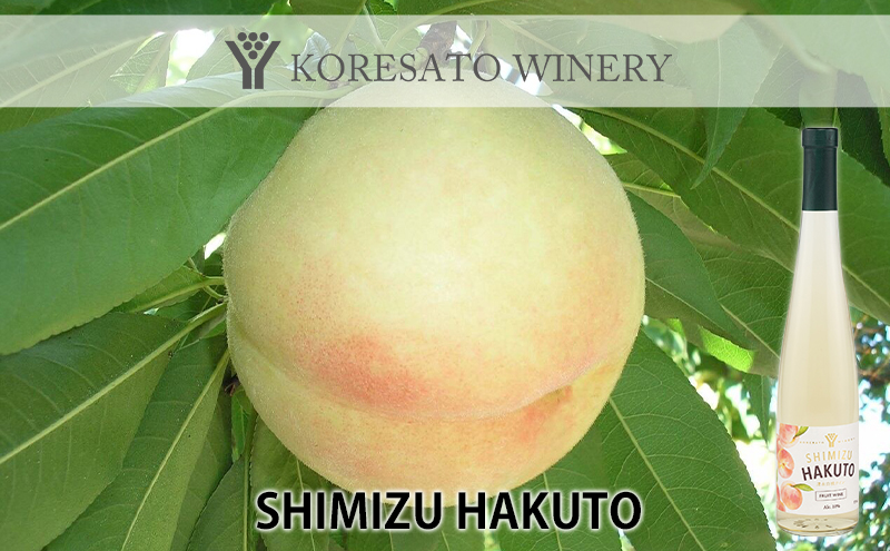 是里 ワイン フルーティー ワイン 2本 セット 岡山 赤磐市 お酒 ロゼワイン ワインセット 果実のうまみ すっきり 甘口 華やかな香り 