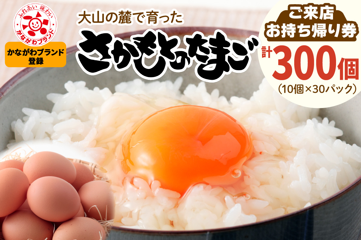 ぐんぐん玉残り1セットのみ1㎏業務用増量タイプ通常15,000円→10,000円 さかもとのたまご「ご来店お持ち帰り用券」合計300個 (10個×30パック
