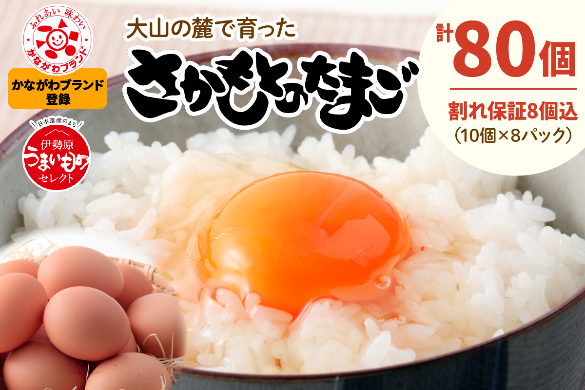 神奈川県伊勢原市のふるさと納税 坂本養鶏 大山の麓で育った さかもとのたまご 80個 (72個＋割れ保証8個)｜伊勢原市 赤玉卵 玉子 鶏卵 生卵 国産 TKG タマゴ 新鮮 大山 鶏 ギフト 安心 安全 親子丼 卵焼き 目玉焼き お菓子 [0387b]