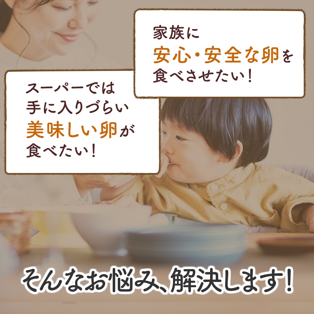 神奈川県伊勢原市のふるさと納税 坂本養鶏 大山の麓で育った さかもとのたまご 80個 (72個＋割れ保証8個)｜伊勢原市 赤玉卵 玉子 鶏卵 生卵 国産 TKG タマゴ 新鮮 大山 鶏 ギフト 安心 安全 親子丼 卵焼き 目玉焼き お菓子 [0704]