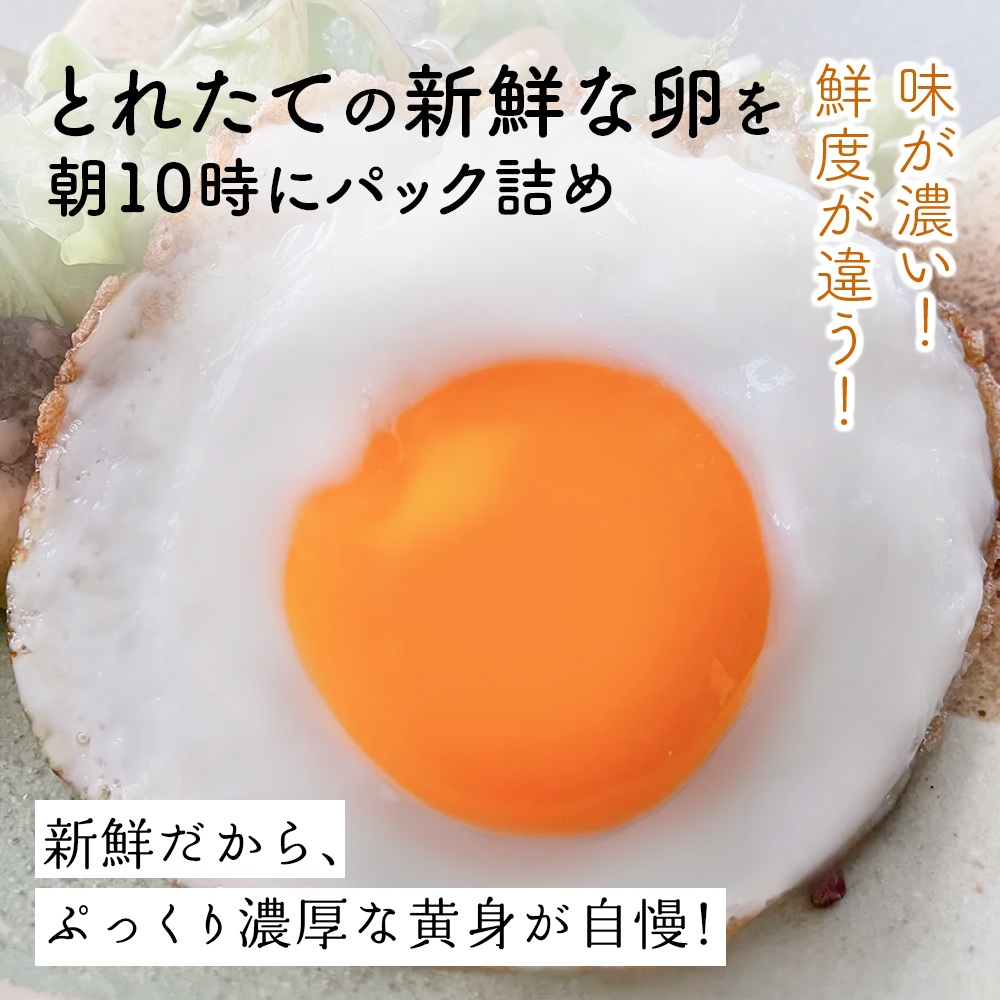 神奈川県伊勢原市のふるさと納税 《2026年4月中旬より順次発送》坂本養鶏 大山の麓で育った さかもとのたまご 80個 (72個＋割れ保証8個)｜伊勢原市 赤玉卵 玉子 鶏卵 生卵 国産 TKG タマゴ 新鮮 大山 鶏 ギフト 安心 安全 親子丼 卵焼き 目玉焼き お菓子 [0792]