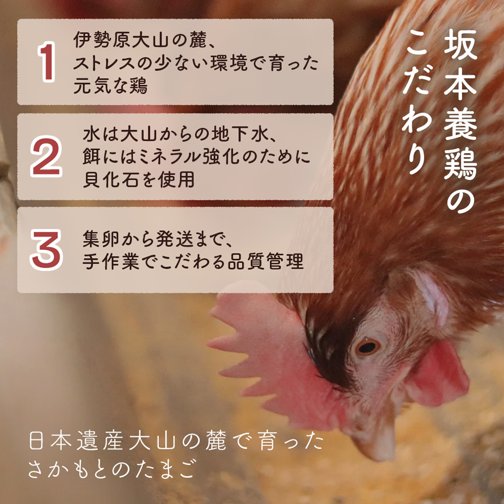 神奈川県伊勢原市のふるさと納税 坂本養鶏 大山の麓で育った さかもとのたまご 80個 (72個＋割れ保証8個)｜伊勢原市 赤玉卵 玉子 鶏卵 生卵 国産 TKG タマゴ 新鮮 大山 鶏 ギフト 安心 安全 親子丼 卵焼き 目玉焼き お菓子 [0387b]