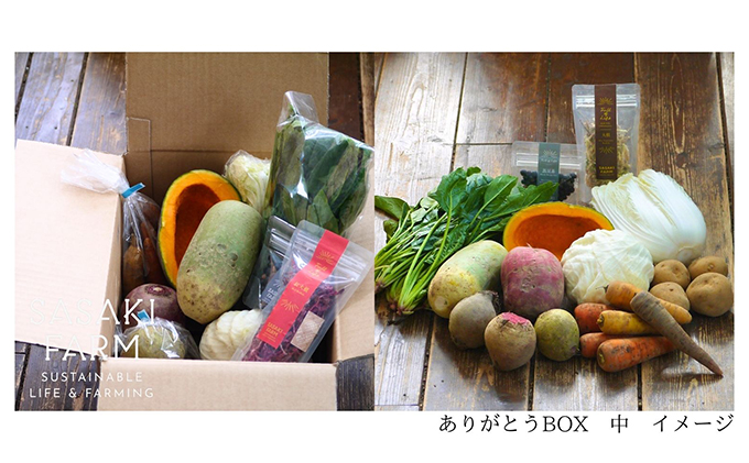 旬の野菜詰め合わせ ～ありがとうBOX2025・中～ 12月1日～1月31日頃お届け 北海道 野菜 やさい 詰め合わせ セット 北海道産 常備菜 加工品 自然栽培 佐々木ファーム 産地直送 洞爺湖町