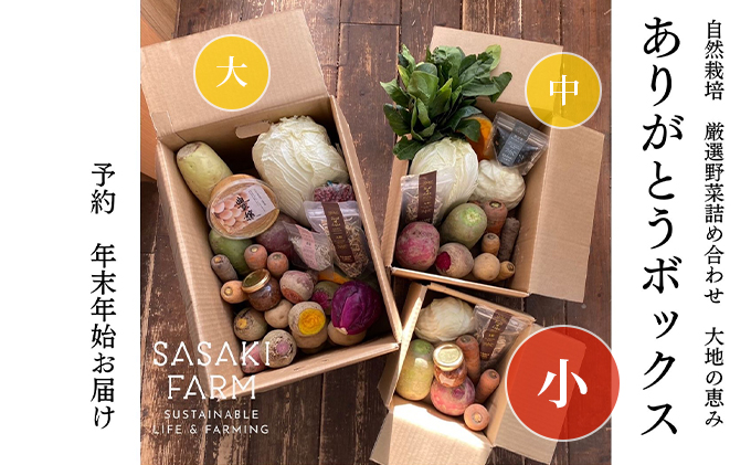 お野菜の詰め合わせ120サイズ 旬の野菜詰め合わせ ～ありがとうBOX2025・小～ 12月1日～1月31