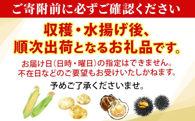 旬の野菜詰め合わせ ～ありがとうBOX2025・小～ 12月1日～1月31