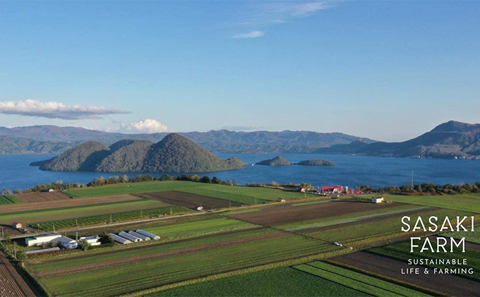 旬の野菜詰め合わせ ～ありがとうBOX2025・小～ 12月1日～1月31日頃お届け 北海道 野菜 やさい 詰め合わせ セット 北海道産 常備菜 加工品 自然栽培 佐々木ファーム 産地直送 洞爺湖町