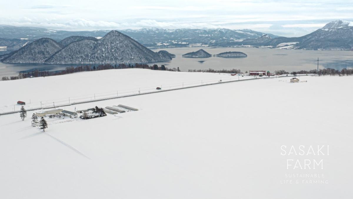 旬の野菜詰め合わせ ～ありがとうBOX2025・小～ 12月1日～1月31日頃お届け 北海道 野菜 やさい 詰め合わせ セット 北海道産 常備菜 加工品 自然栽培 佐々木ファーム 産地直送 洞爺湖町