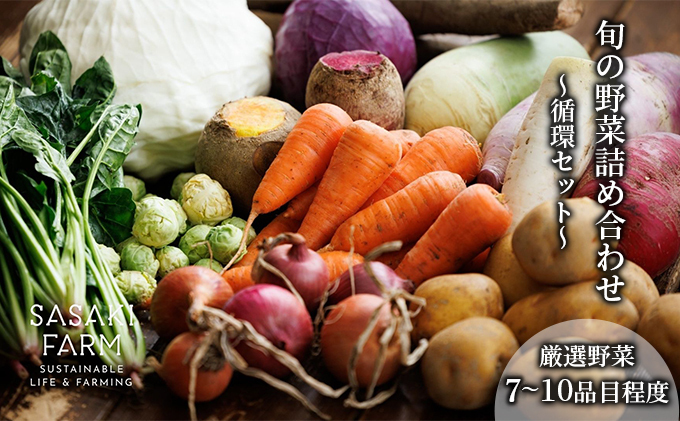 〈自然栽培〉佐々木ファーム 旬の野菜詰め合わせ ～循環セット～ 厳選野菜7-10品目程度 2026年3月よりお届け やさい 直送 北海道 洞爺湖町 野菜の詰め合わせ 北海道産 北海道産野菜 