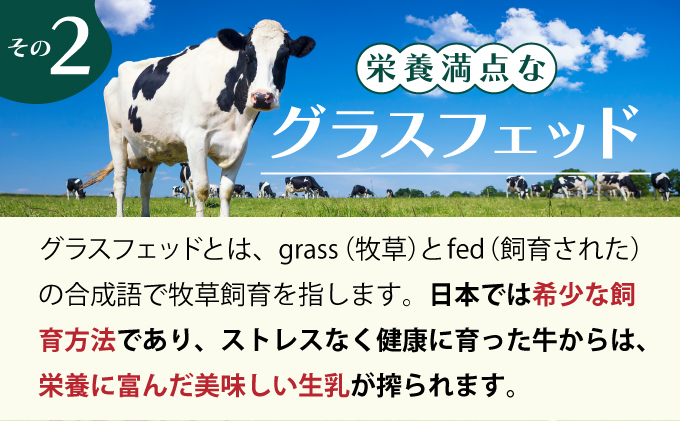 北海道登別市のふるさと納税 のぼりべつ牛乳3本（1,000ml×3本）