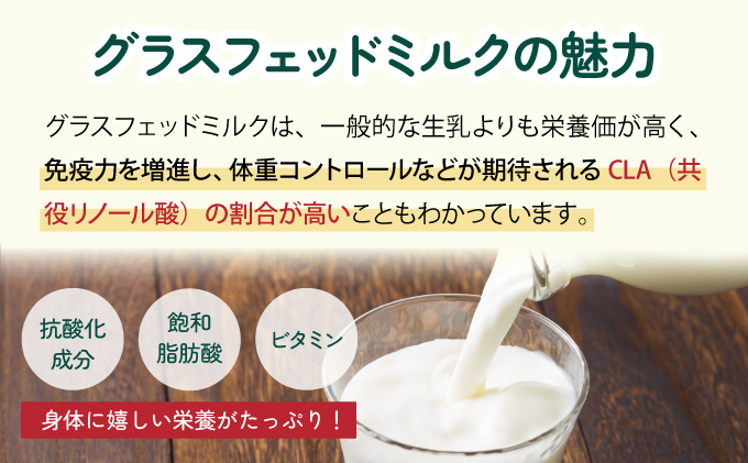 北海道登別市のふるさと納税 のぼりべつ牛乳3本（1,000ml×3本）
