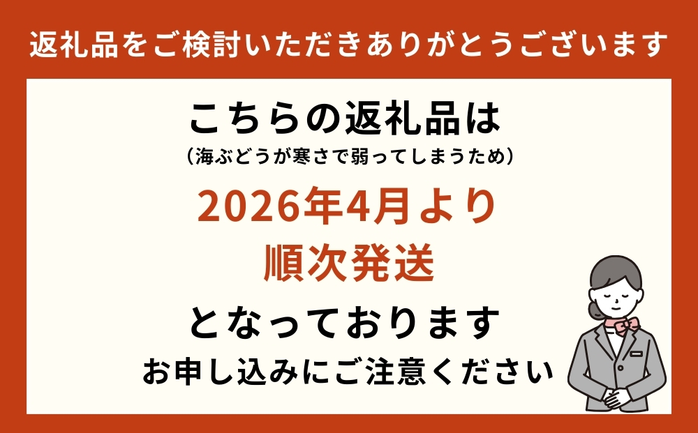 【お手軽沖縄海藻セット】海ぶどう（200g）＆もずく（500g）【2026年4月より順次発送】
