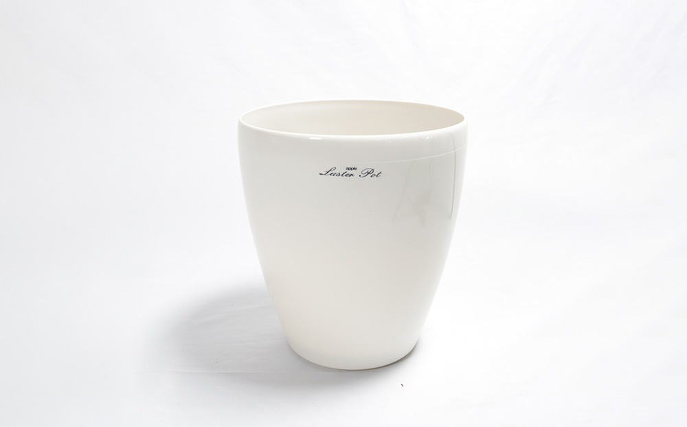 沖縄の観葉植物 人気のフィカス ベンガレンシス6号 ラスターポット