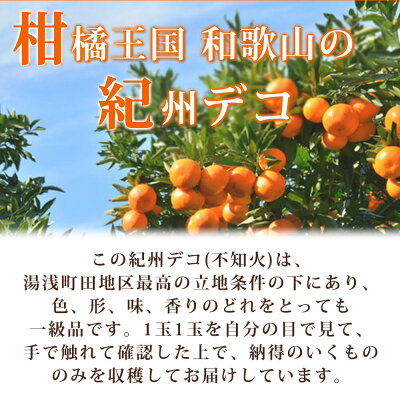 G7361_【2026年先行予約】期間限定 紀州デコ 約 5kg 完熟 紀州 有田産 色 形 味 香り 一級品 プリプリ 果肉 まろやか 甘さ ほどよい 酸味 ジューシー 旨味 不知火 人気品種 柑橘の王様 柑橘 果実 国産 食品 産地直送 お取り寄せ 和歌山県 湯浅町 送料無料