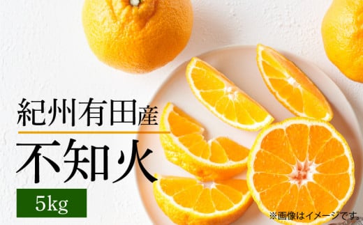 ya̎RLcS󒬁zG7356_y2026Ns\zsm 5kg fR| k̉l Â vv W[V[ Z t[c ʎ ʕ k IBLcY Y Hi Hו  ߏX a̎R  