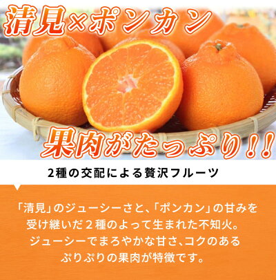 G7356_【2026年先行予約】不知火 5kg デコポン 柑橘の王様 甘い プリプリ ジューシー 濃厚 フルーツ 果実 果物 柑橘 紀州有田産 国産 食品 食べ物 お取り寄せ 魚鶴商店 和歌山県 湯浅町 送料無料