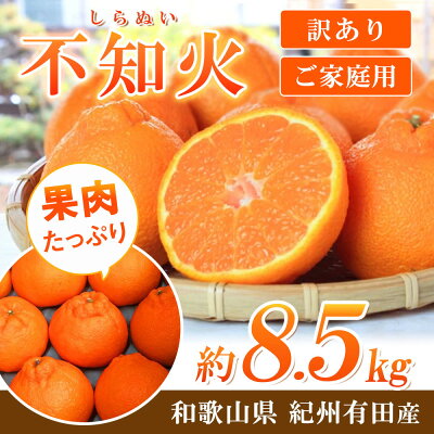 G7359_【2026年先行予約】紀州有田産 不知火 (しらぬい)【家庭用 訳あり】8.5kg