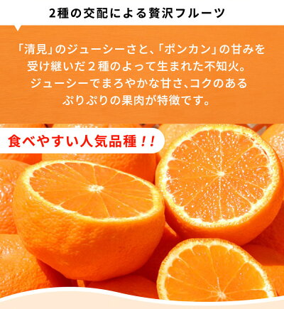 G7359_【2026年先行予約】紀州有田産 不知火 (しらぬい)【家庭用 訳あり】8.5kg
