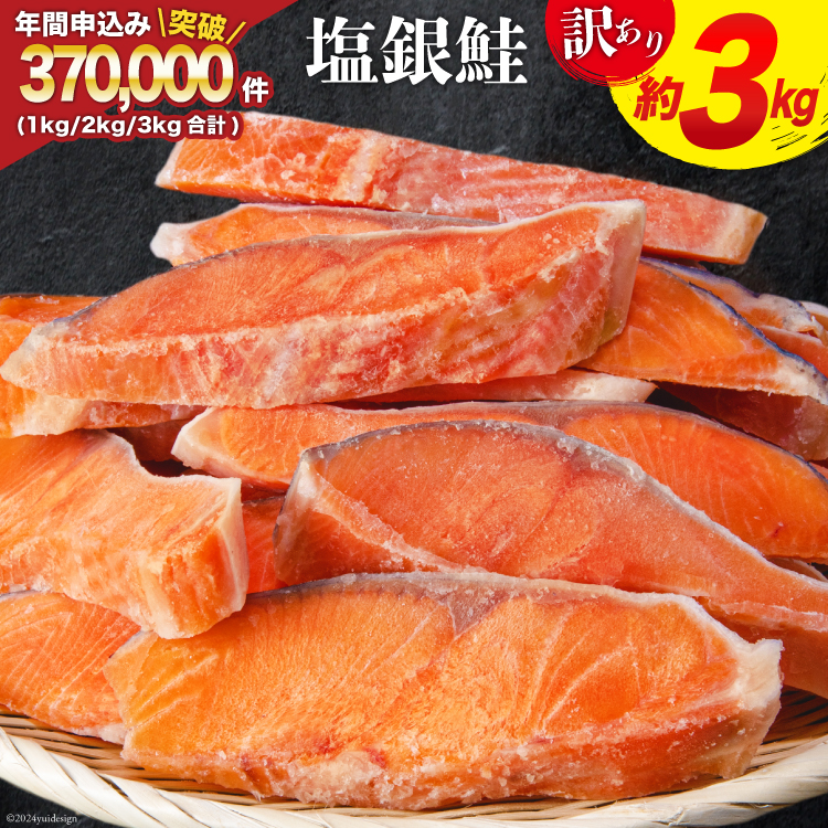 宮城県気仙沼市のふるさと納税 訳あり 銀鮭 切身 約3kg [宮城東洋 宮城県 気仙沼市 20564992] 鮭 魚介類 海鮮 訳アリ 規格外 不揃い さけ サケ 鮭切身 シャケ 切り身 冷凍 家庭用 おかず 弁当 支援 サーモン 銀鮭切り身 魚 わけあり