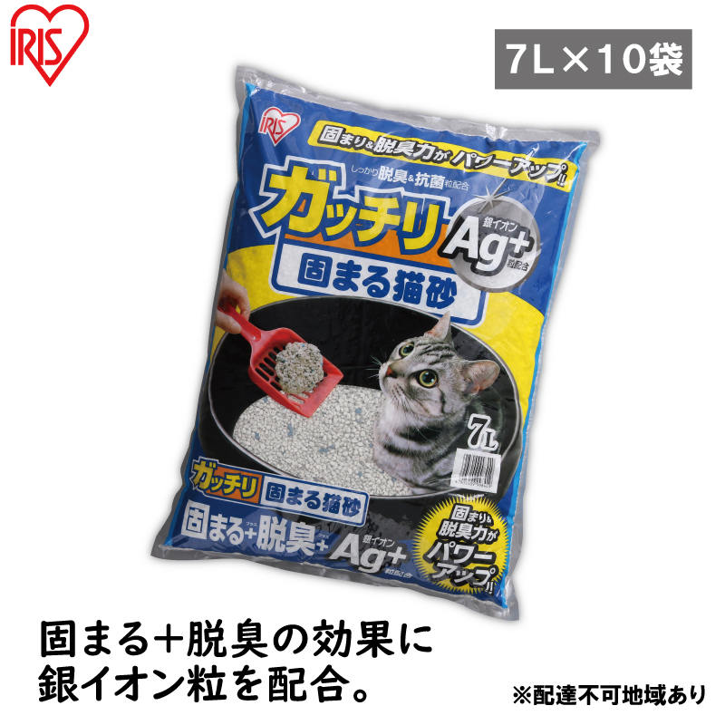 y{錧͌zy7L×10܃ZbgzL ybg gC Kb`ł܂LAg+ GN-7 7L ACXI[}  Lp L EL R gCpi  z ł܂鍻