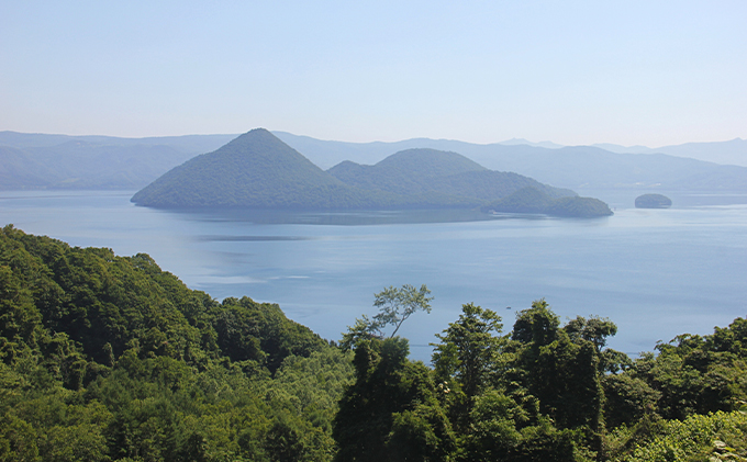 北海道洞爺湖町のふるさと納税 洞爺湖町産 黄金のわかさぎ 20尾×4P 計80尾 北海道産 ワカサギ わかさぎ 川魚 魚介類 産地直送 冷凍 お取り寄せ グルメ 料理 天ぷら フライ とうやマルシェ 北海道 洞爺湖町