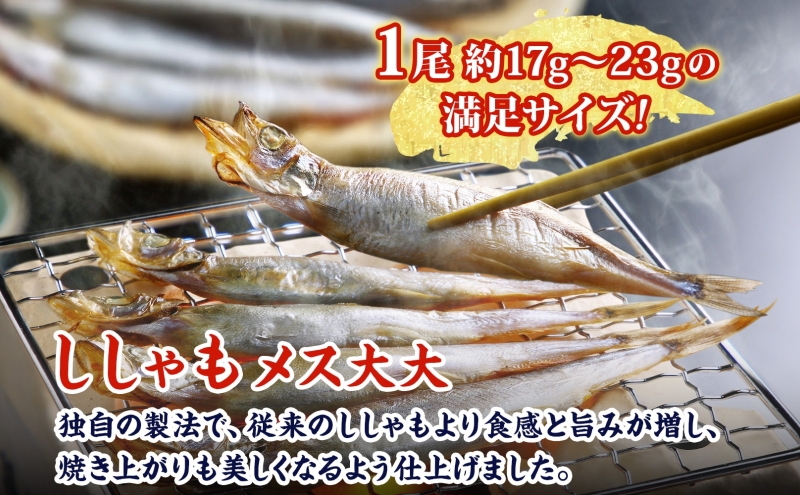 北海道産ししゃもメス大大30尾 北海道 稀少 魚シシャモ メス おつまみ 魚貝類 干物 本物 人気 希少 塩 味付け 脂のり 旨み 美味しい 大きい 