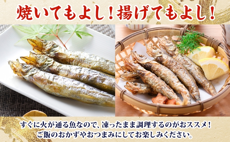 子持ちからふとししゃも 約1.6kg(800g×2) 樺太 魚シシャモ メス