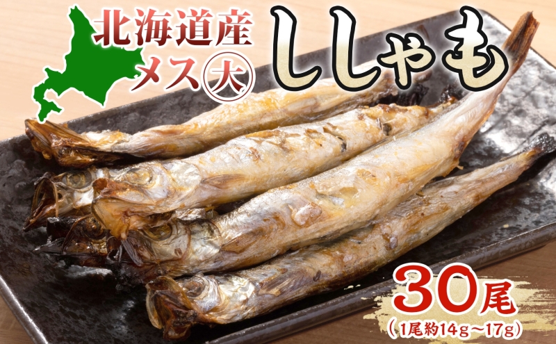北海道産ししゃもメス大30尾 北海道 稀少 魚シシャモ メス おつまみ 魚貝類 干物 本物 人気 希少 塩 味付け 脂のり 旨み 美味しい 大きい 