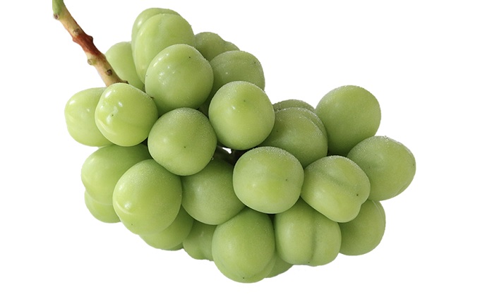 岡山県赤磐市のふるさと納税 ぶどう 2025年 先行予約 シャイン マスカット 晴王 2房 （1房550g以上） マスカット ブドウ 葡萄 岡山県産 国産 フルーツ 果物 ギフト桃茂実苑 果物類