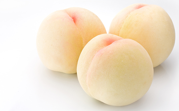 桃 ぶどう 2026年 先行予約 清水白桃 5玉 約1.5kg（1玉約300g） ニューピオーネ 1房 550g以上 白桃 もも 葡萄 ブドウ ピオーネ 詰合せ 岡山県産 国産 フルーツ 果物 ギフト 桃茂実苑 果物類 