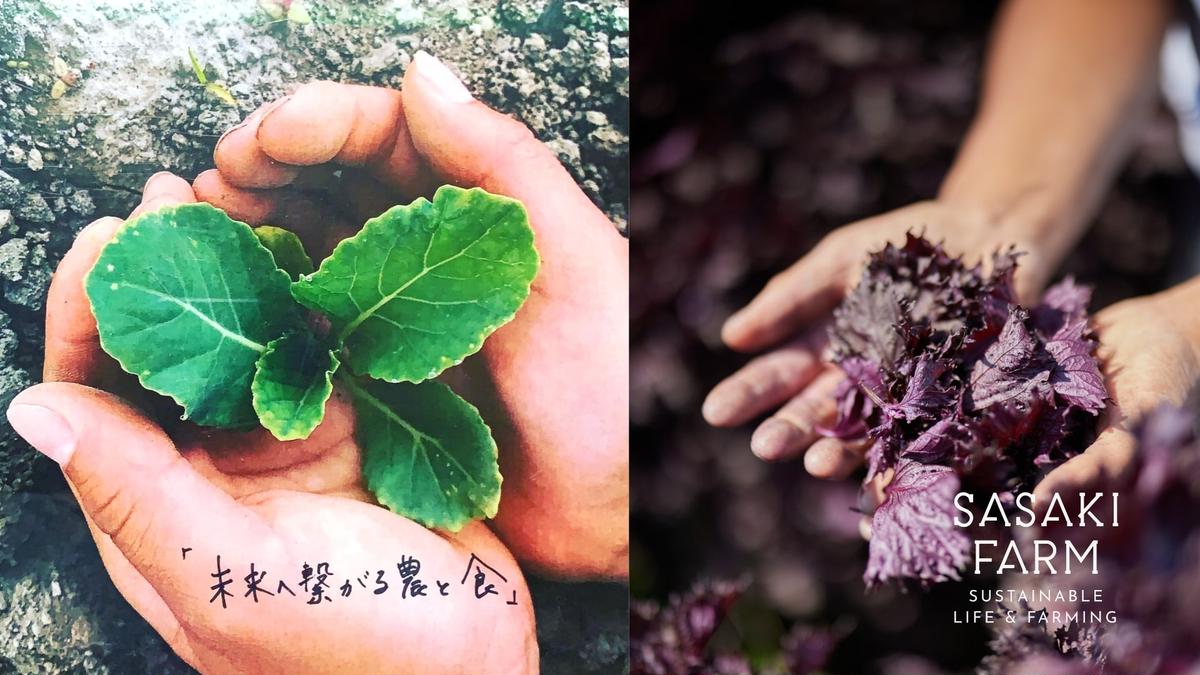 旬の野菜詰め合わせ ～ありがとうBOX2025・中～ 12月1日～1月31日頃お届け 北海道 野菜 やさい 詰め合わせ セット 北海道産 常備菜 加工品 自然栽培 佐々木ファーム 産地直送 洞爺湖町