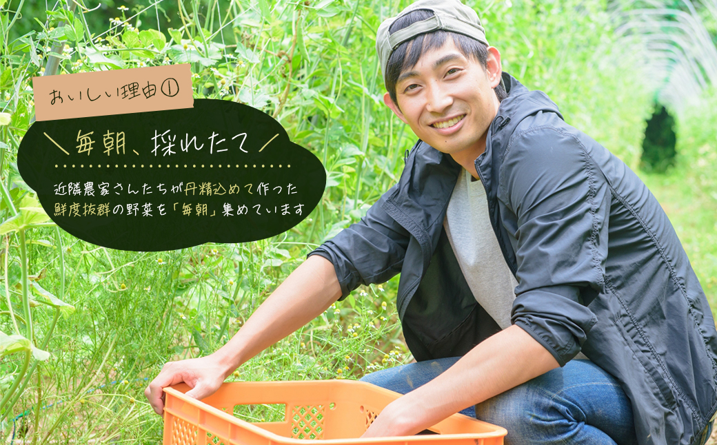 兵庫県淡路市のふるさと納税 淡路島の旬の野菜セット（10～15種類程度）　　[野菜詰め合わせ]