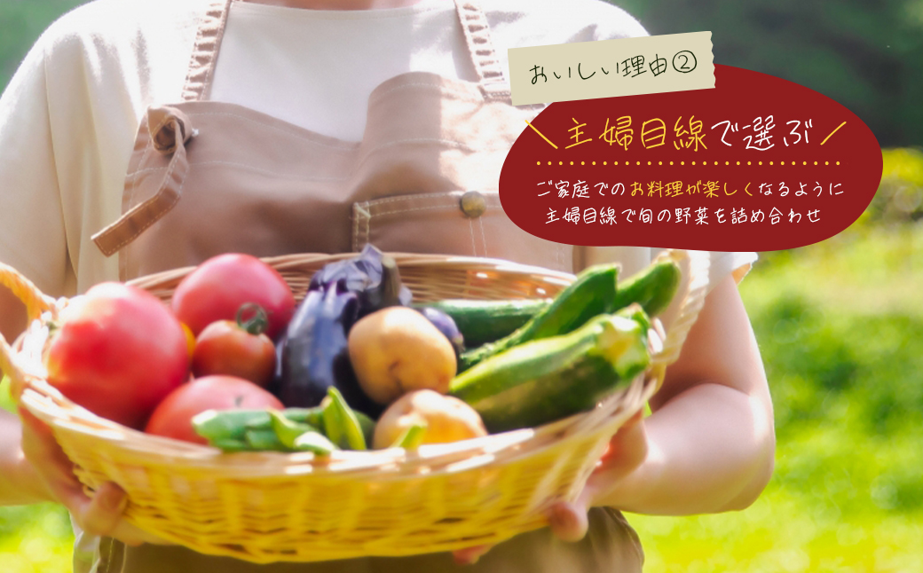 【定期便】淡路島の旬の野菜セット　３ヶ月コース（月１回×３回）　[野菜詰め合わせ]