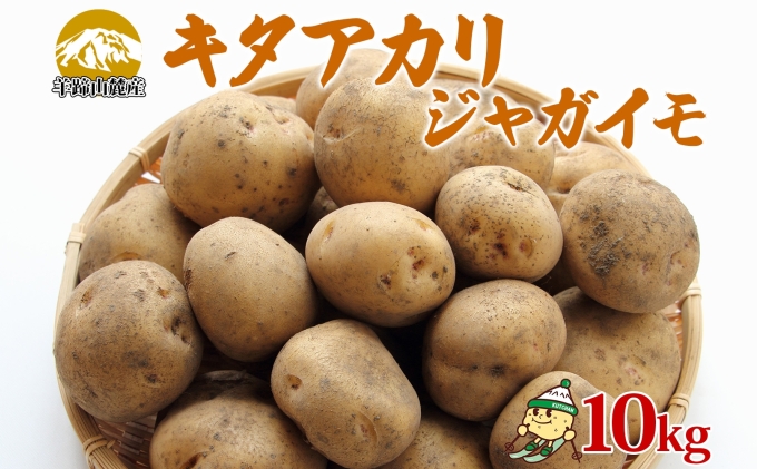 【北海道倶知安町】北海道産 じゃがいも キタアカリ 約10kg Lサイズ ジャガイモ 北あかり 馬鈴薯 ポテト クリじゃがいも 常備野菜 根菜 産直 国産 JAようてい 送料無料 北海道北海道のジャガイモ 食品