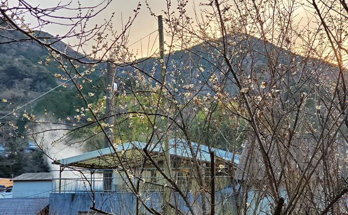 純米吟醸 紫の英君 720ml×2本 お酒 アルコール 日本酒 純米吟醸酒 家飲み 宅飲み 晩酌 フルーティー 品格ある味わい 山田錦 