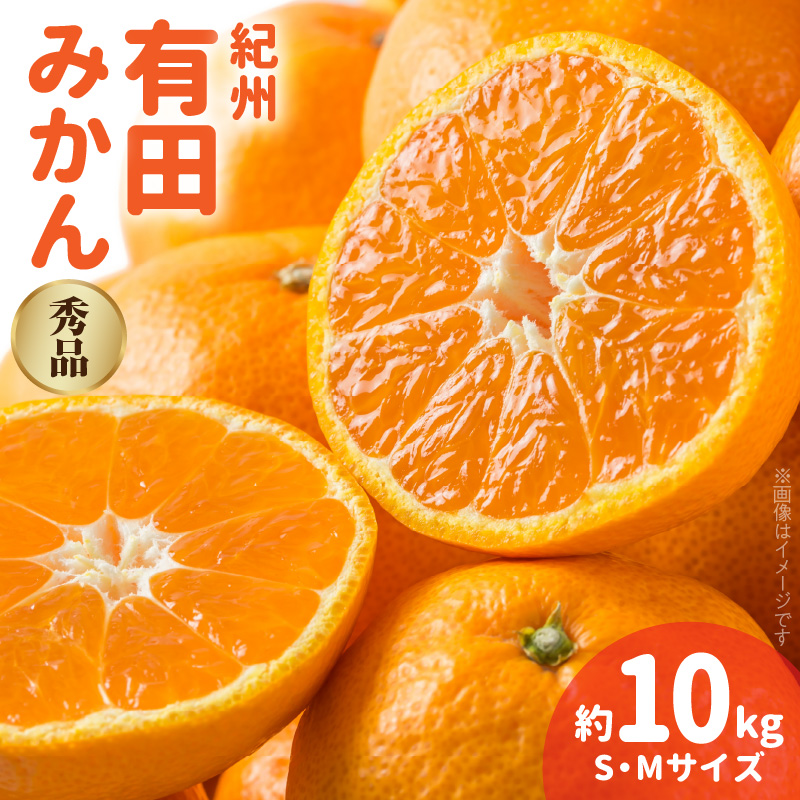 V7031_バレンシアオレンジ 約5kg 湯浅町田村産 (無選別・果実