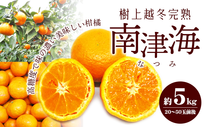 小豆島 】 南津海 （ なつみ ） みかん 約5kg 柑橘 ミカン 果物