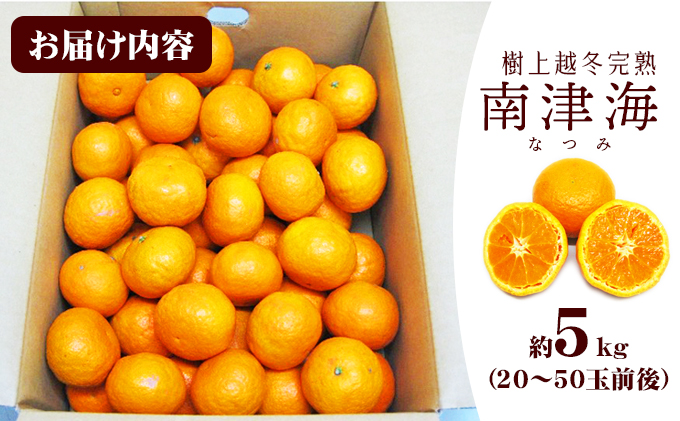 小豆島 】 南津海 （ なつみ ） みかん 約5kg 柑橘 ミカン 果物