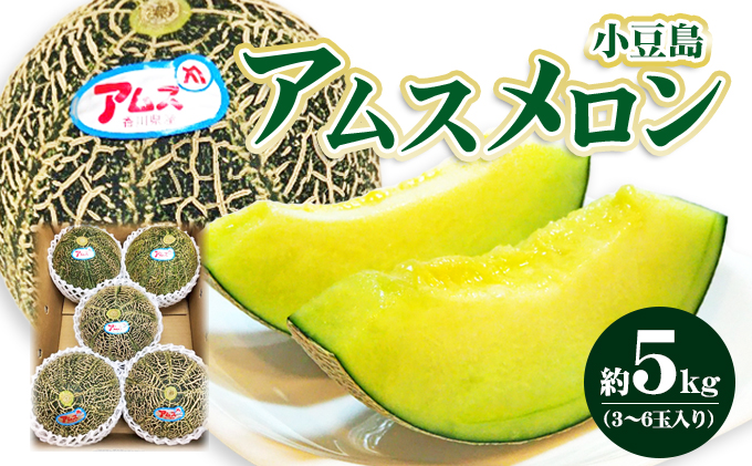 【ココメロン】別の方のご購入お断り 小豆島 】小豆島 アムスメロン 約5kg 果物 フルーツ メロン めろん
