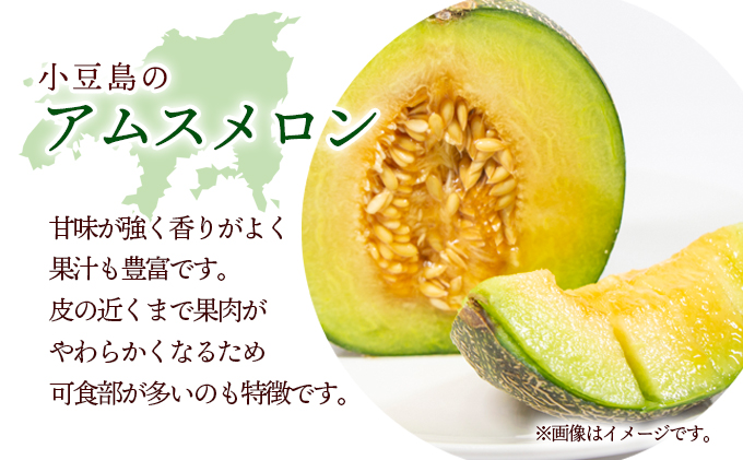 【ココメロン】別の方のご購入お断り 小豆島 】小豆島 アムスメロン 約5kg 果物 フルーツ メロン めろん