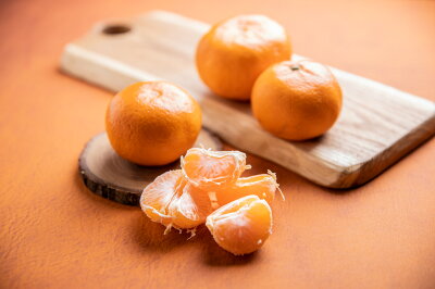 ya̎RLcS󒬁zCE6113n_a̎RY Lc݂ 3.5kg