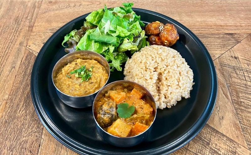 インドカレー VEGAN バラエティ インド カレー 食べ比べ セット 冷凍 レトルト 詰め合わせ 温めるだけ 惣菜 おかず 野菜カレー ヴィーガン 食 ベジタリアン ベジタリアンカレー インド料理 ヘルシー 健康 美容 東京 東京都 墨田区