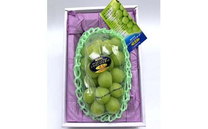 ぶどう 2026年 先行予約 シャイン マスカット 晴王 1房 700g前後 ブドウ 葡萄  岡山県産 国産 フルーツ 果物 ギフト 岡山のブドウ デザート 食べ物 日本産 